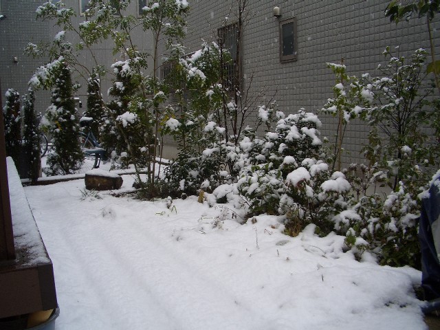 雪
